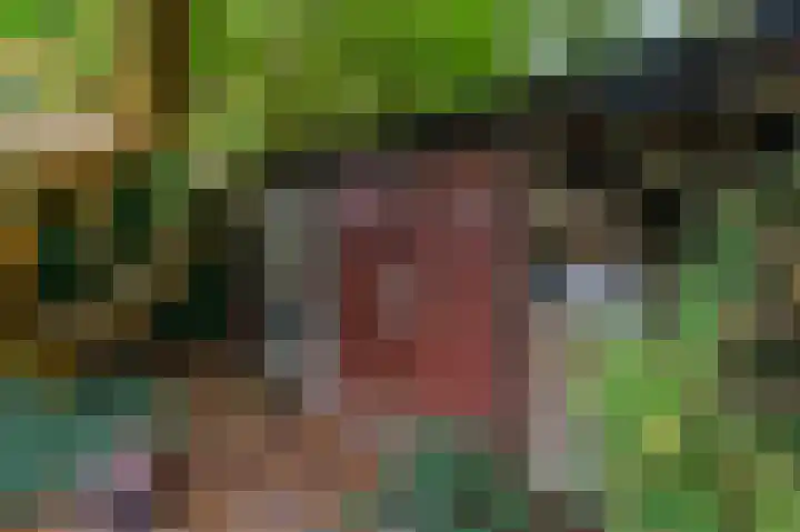 Meester Schaapstraat 12 Roden thumbnail 43