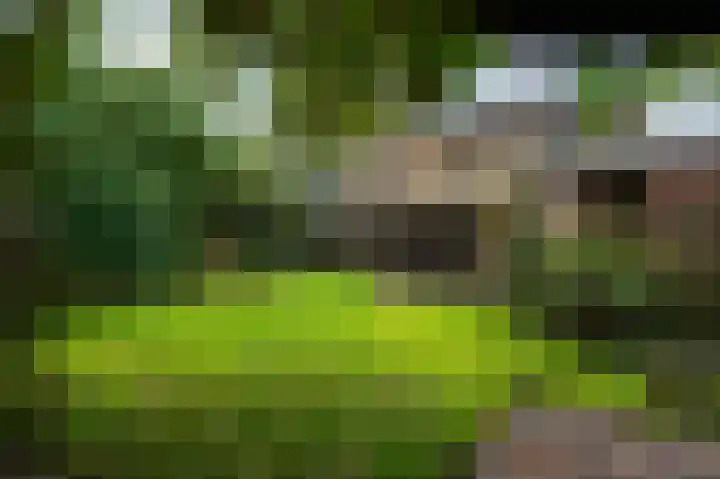 Meester Schaapstraat 12 Roden thumbnail 44