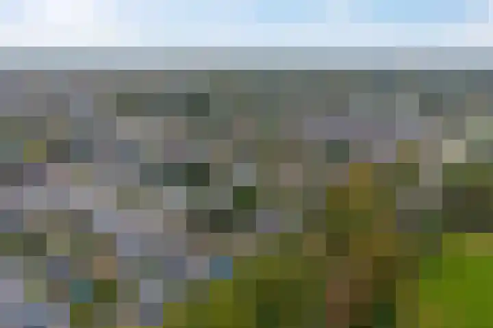 Meester Schaapstraat 12 Roden thumbnail 45