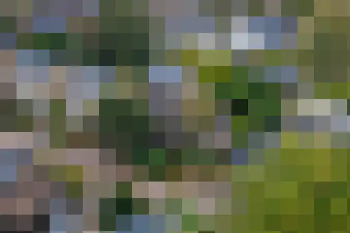 Meester Schaapstraat 12 Roden thumbnail 46