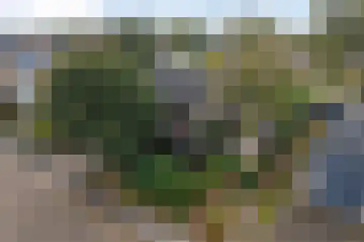 Meester Schaapstraat 12 Roden thumbnail 47