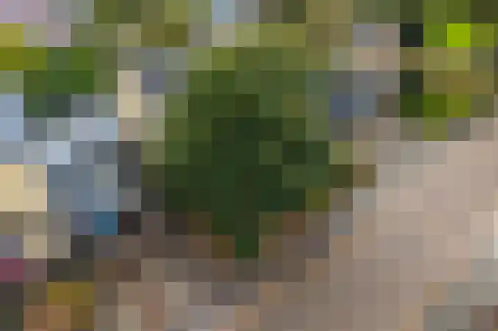 Meester Schaapstraat 12 Roden thumbnail 48