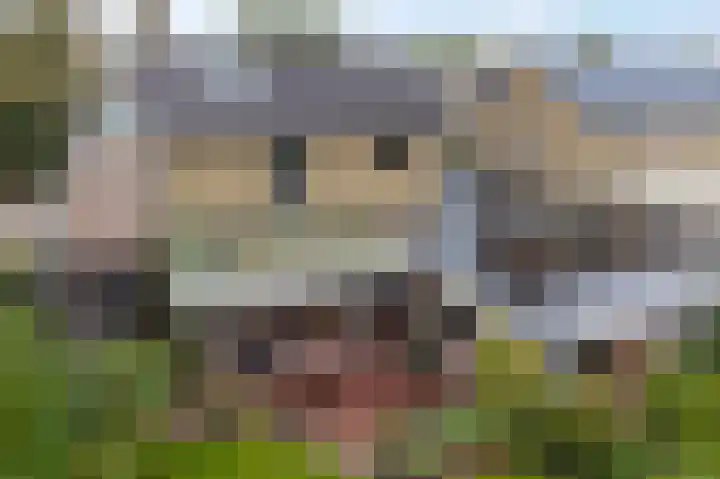 Meester Schaapstraat 12 Roden thumbnail 50