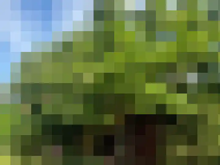 Meester Schaapstraat 12 Roden thumbnail 52