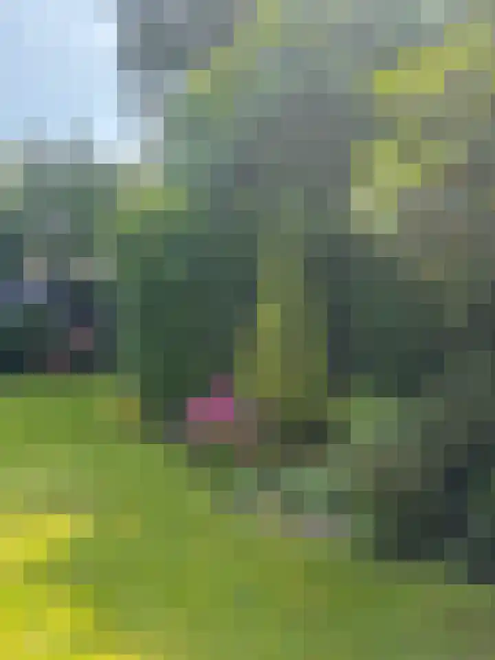 Meester Schaapstraat 12 Roden thumbnail 53