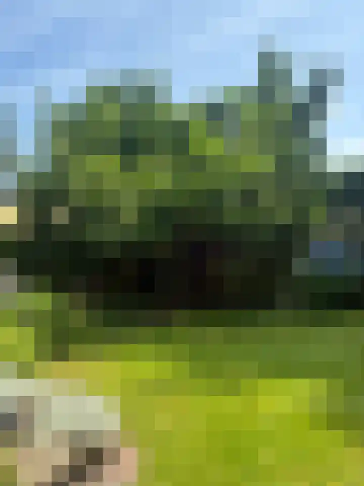 Meester Schaapstraat 12 Roden thumbnail 55