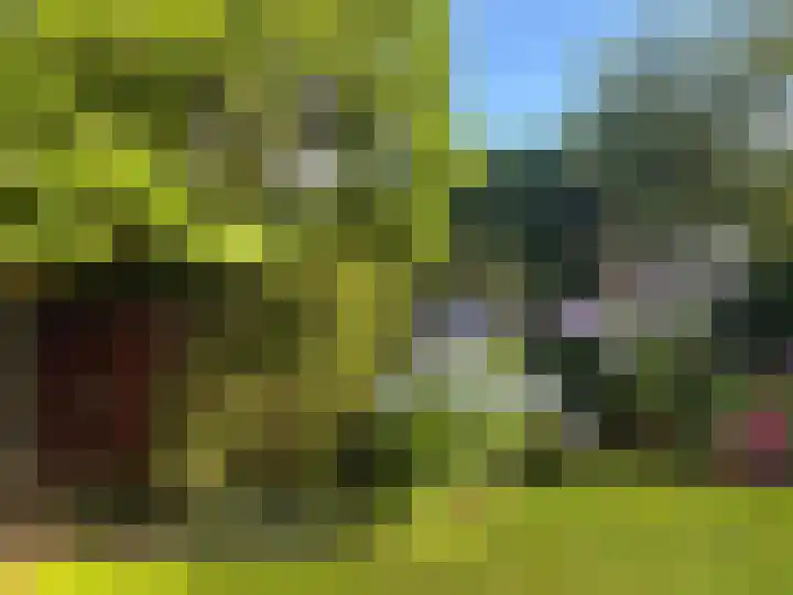 Meester Schaapstraat 12 Roden thumbnail 56