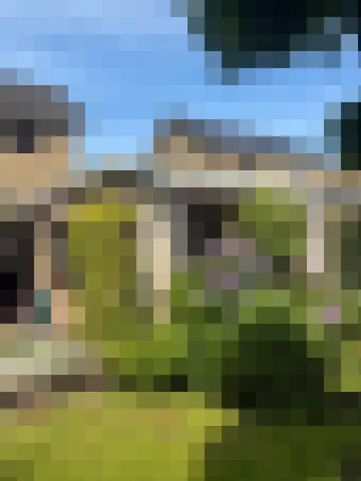 Meester Schaapstraat 12 Roden thumbnail 57
