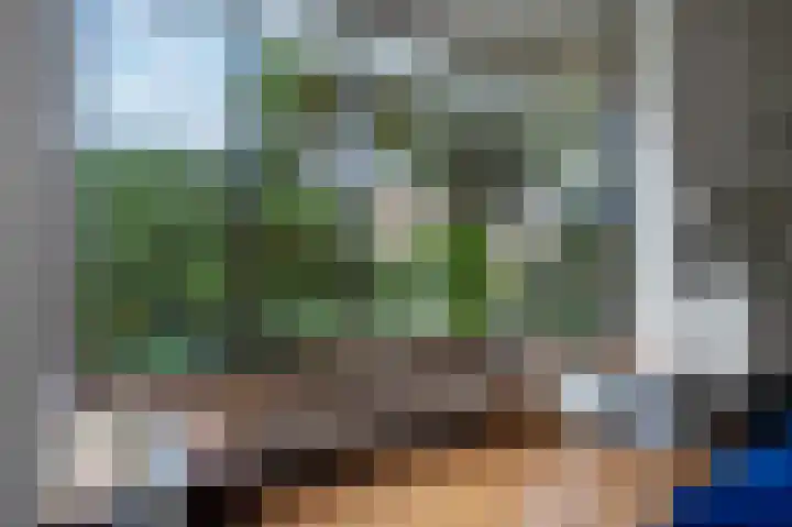 Meester Schaapstraat 12 Roden thumbnail 8