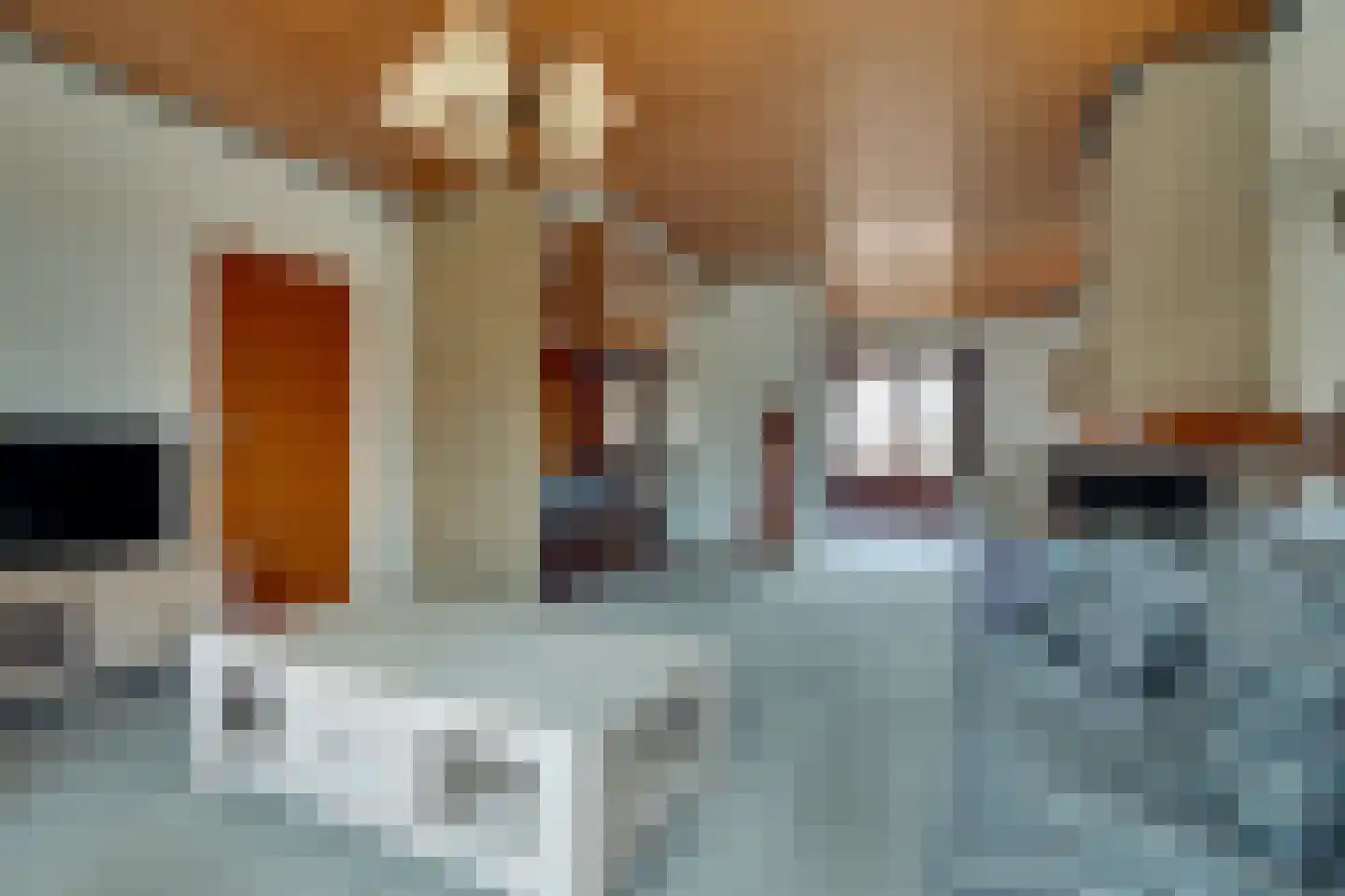 Meester Schaapstraat 9 Roden thumbnail 10