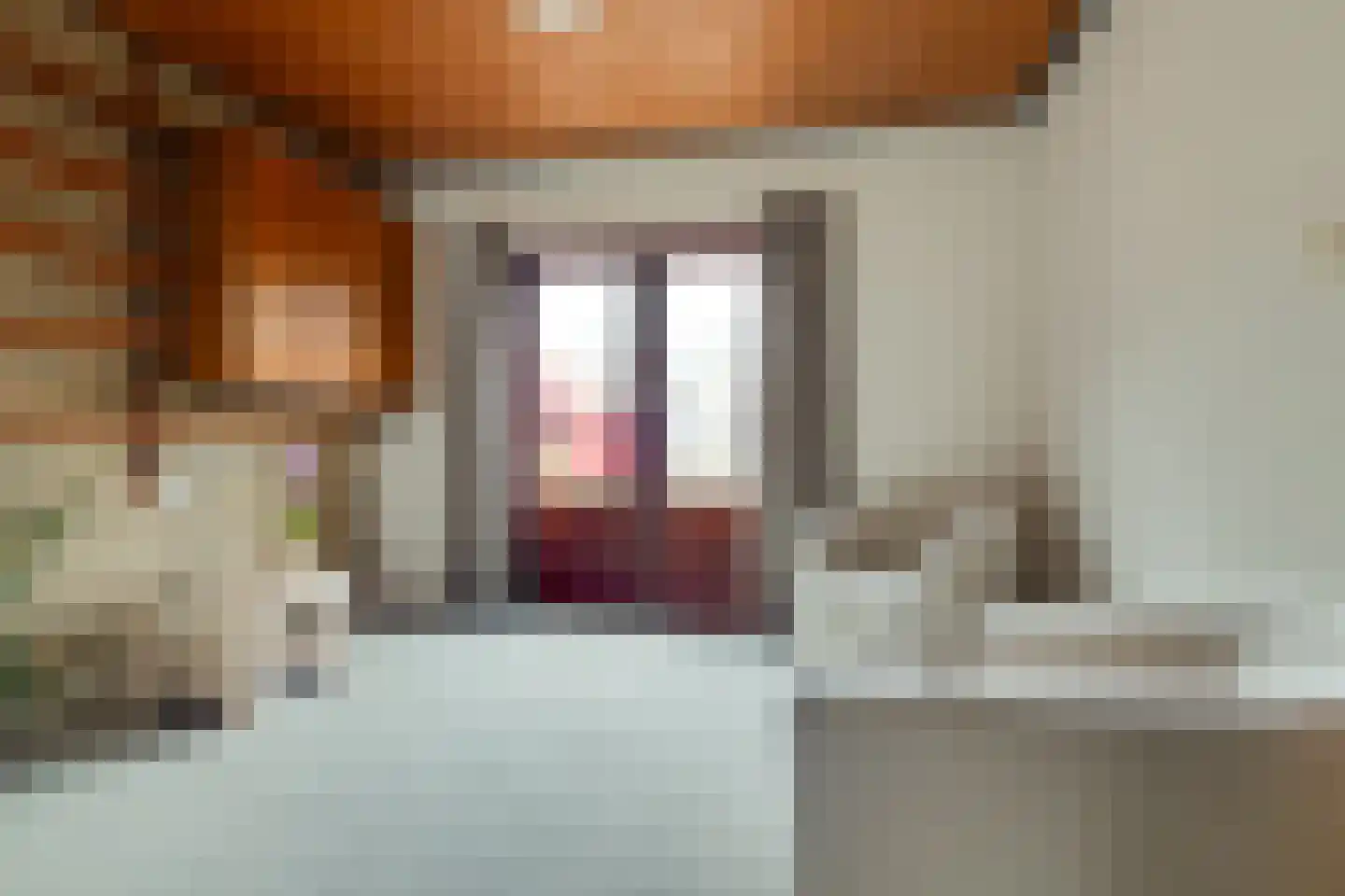 Meester Schaapstraat 9 Roden thumbnail 13