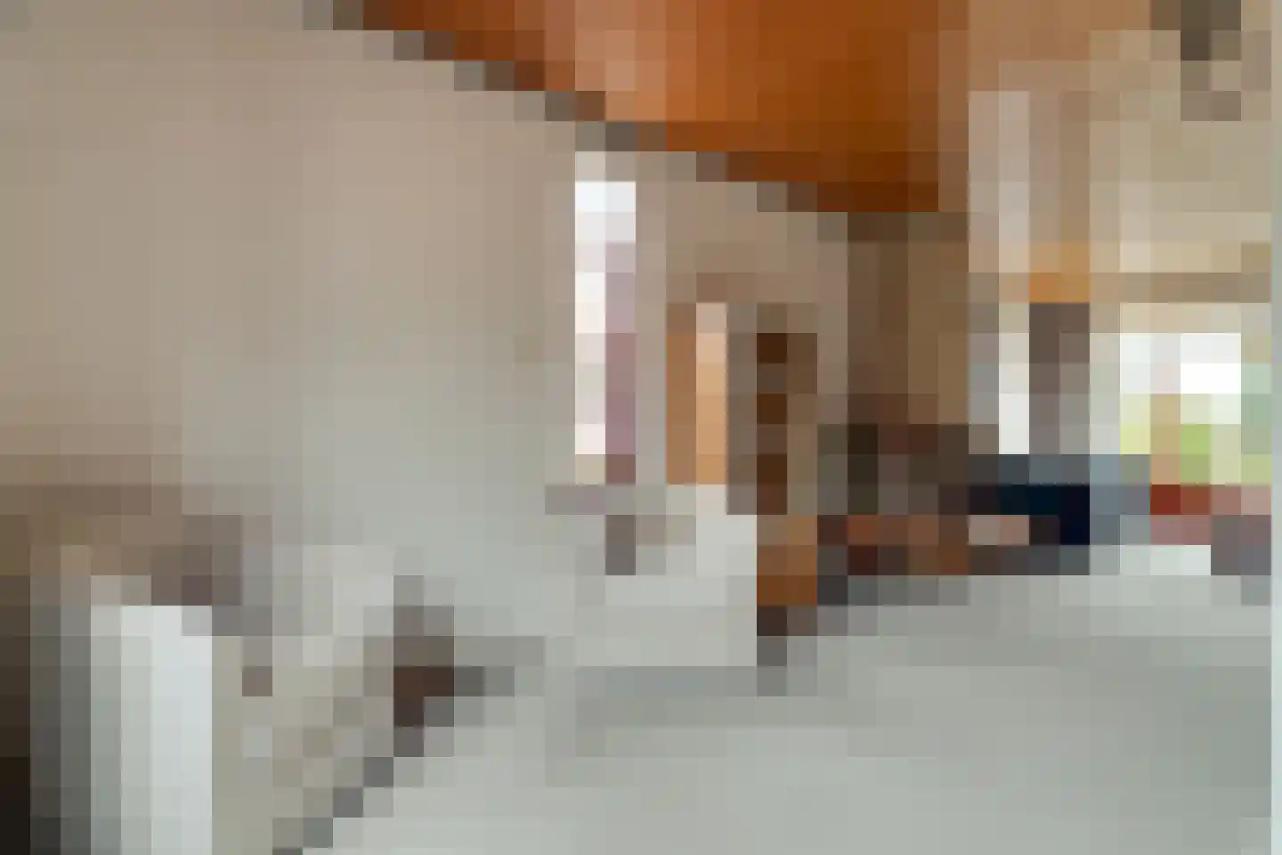 Meester Schaapstraat 9 Roden thumbnail 14