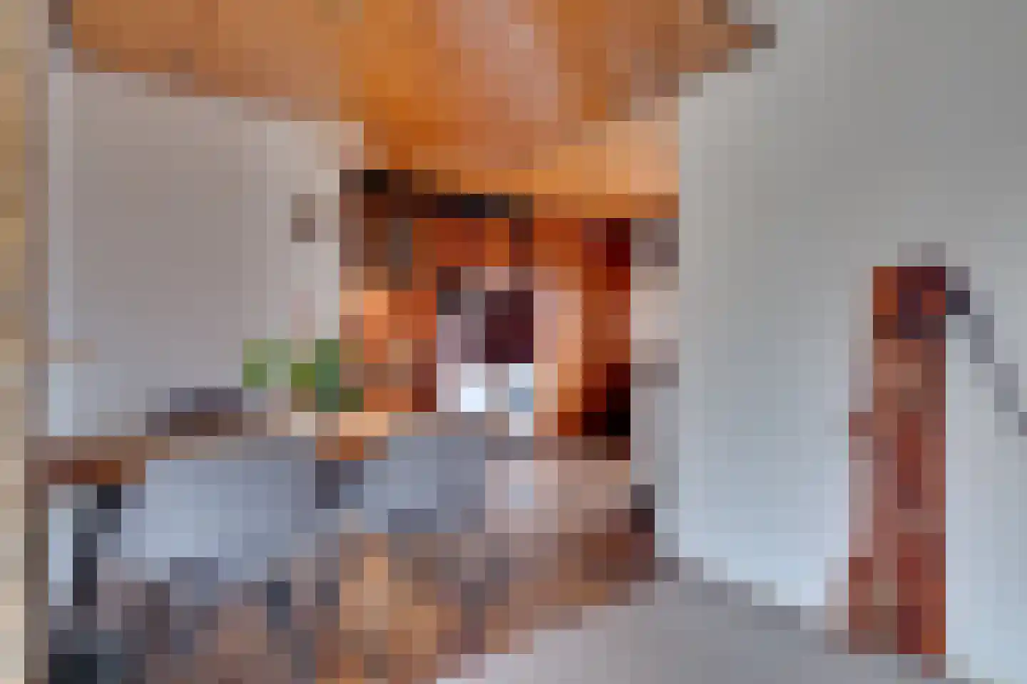 Meester Schaapstraat 9 Roden thumbnail 15