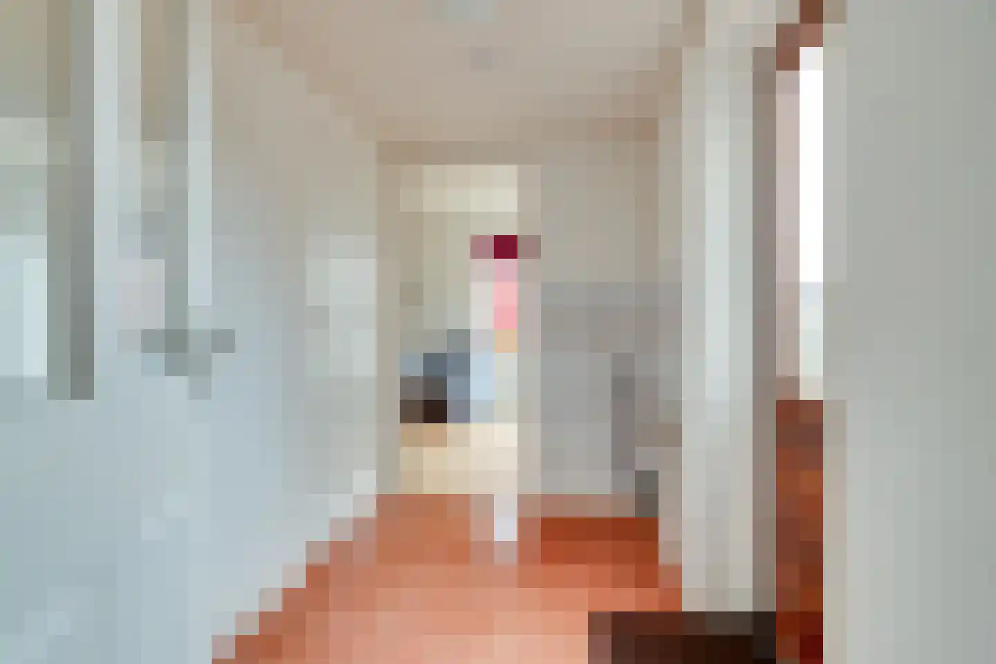 Meester Schaapstraat 9 Roden thumbnail 20
