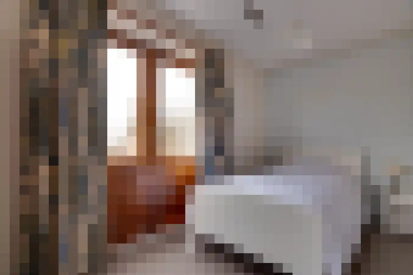 Meester Schaapstraat 9 Roden thumbnail 33