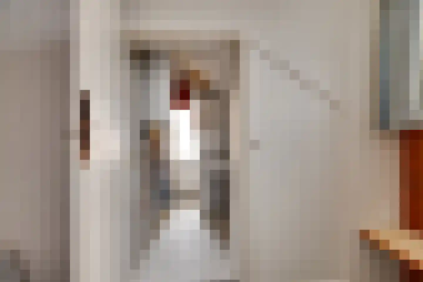 Meester Schaapstraat 9 Roden thumbnail 38
