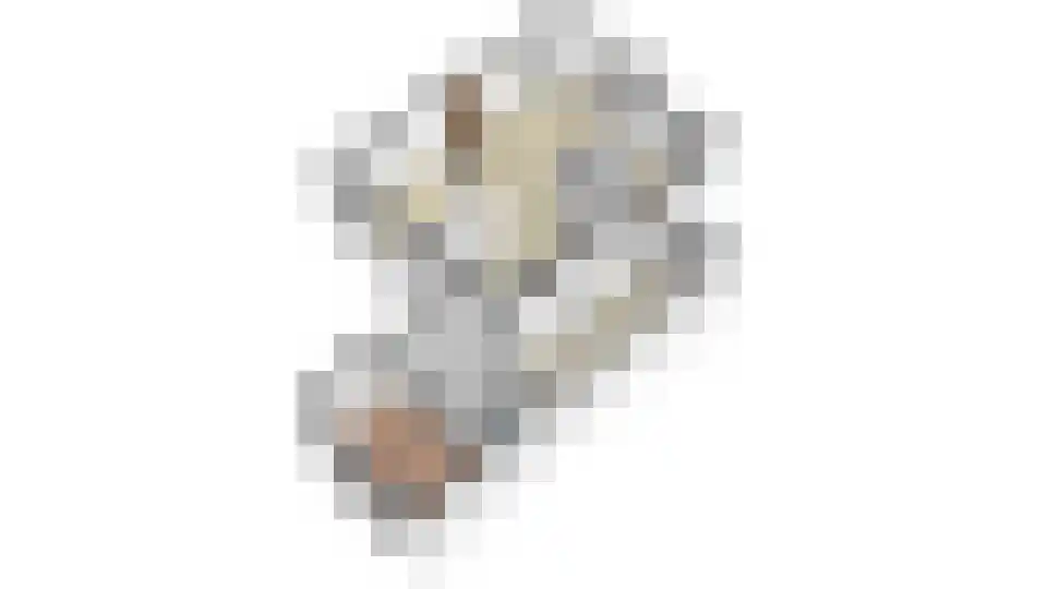 Meester Schaapstraat 9 Roden thumbnail 48
