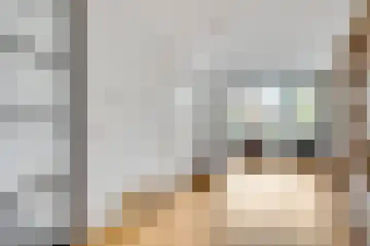 Meester Schakenhof 11 Ospel thumbnail 15