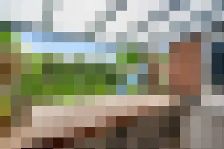 Meester Schakenhof 11 Ospel thumbnail 22