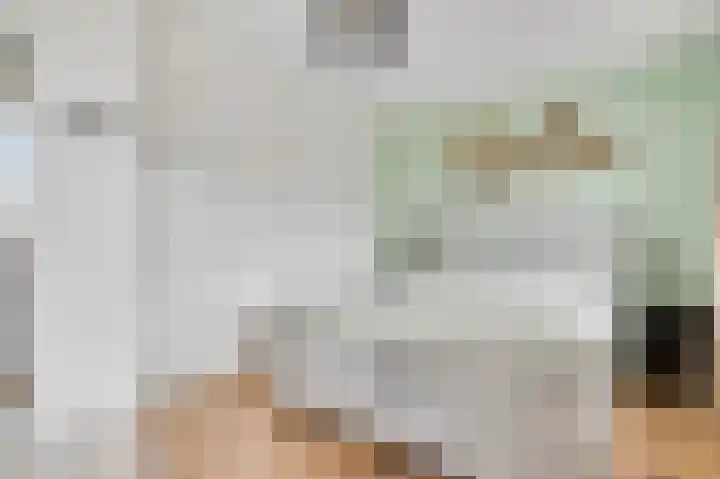 Meester Schakenhof 11 Ospel thumbnail 33