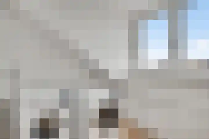 Meester Schakenhof 11 Ospel thumbnail 38