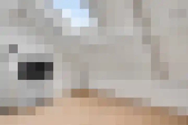 Meester Schakenhof 11 Ospel thumbnail 39