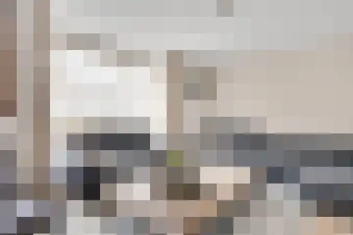 Meester Schakenhof 17 Ospel thumbnail 16