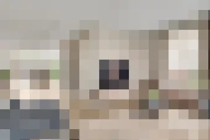 Meester Schakenhof 17 Ospel thumbnail 17