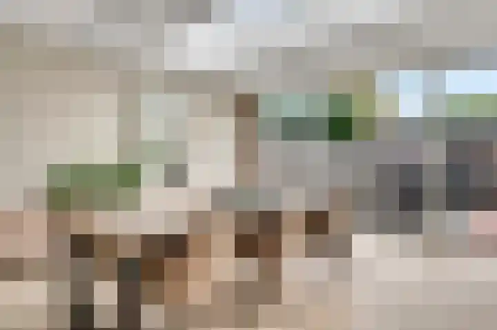 Meester Schakenhof 17 Ospel thumbnail 19