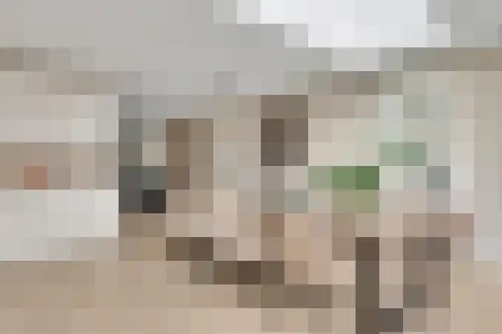 Meester Schakenhof 17 Ospel thumbnail 20