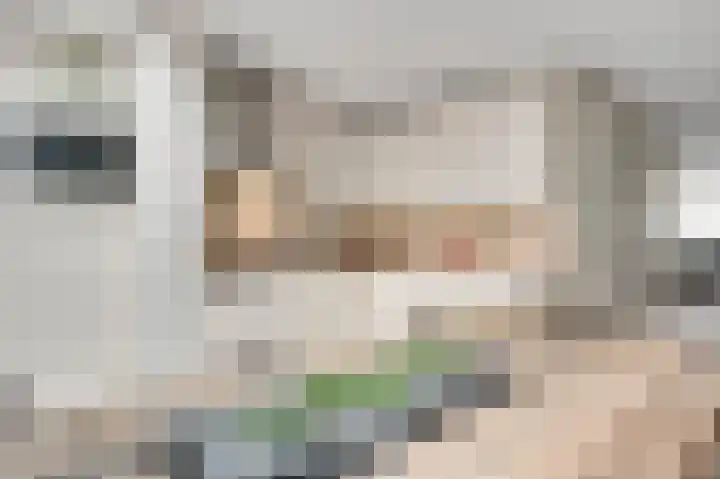 Meester Schakenhof 17 Ospel thumbnail 22