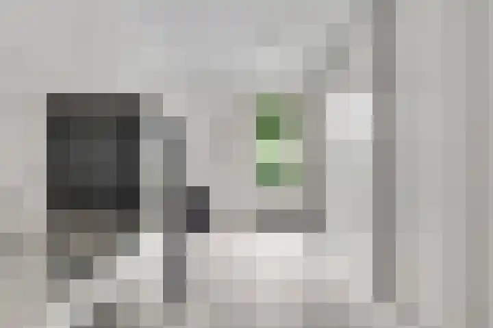 Meester Schakenhof 17 Ospel thumbnail 24