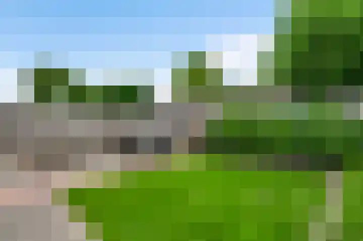 Meester Schakenhof 17 Ospel thumbnail 25