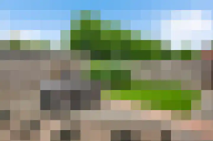 Meester Schakenhof 17 Ospel thumbnail 26