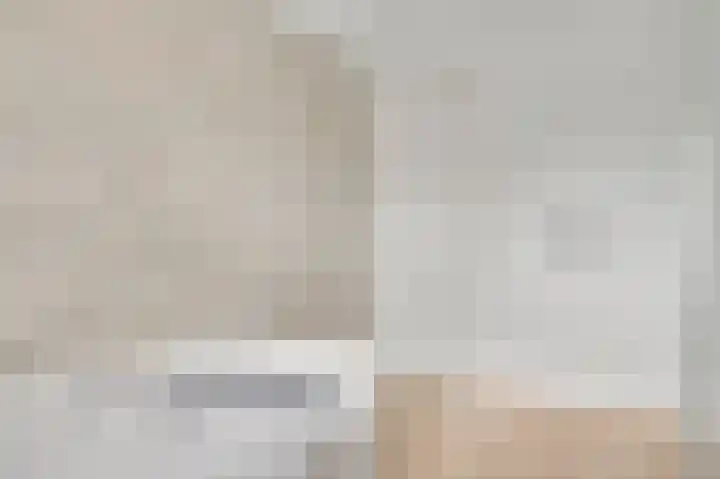 Meester Schakenhof 17 Ospel thumbnail 33