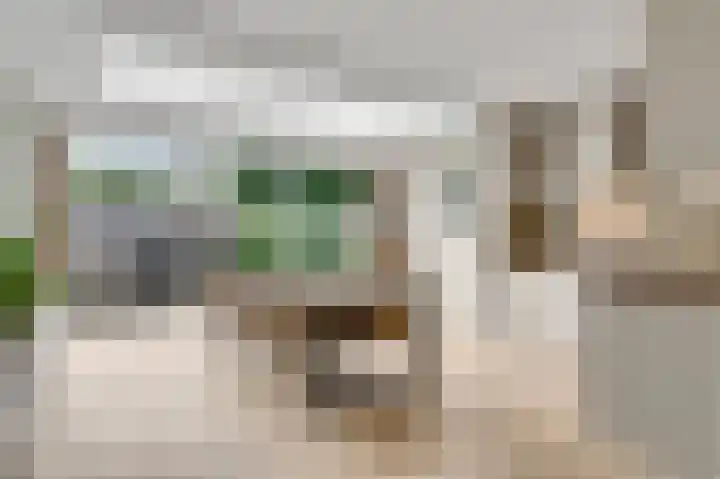 Meester Schakenhof 17 Ospel thumbnail 4
