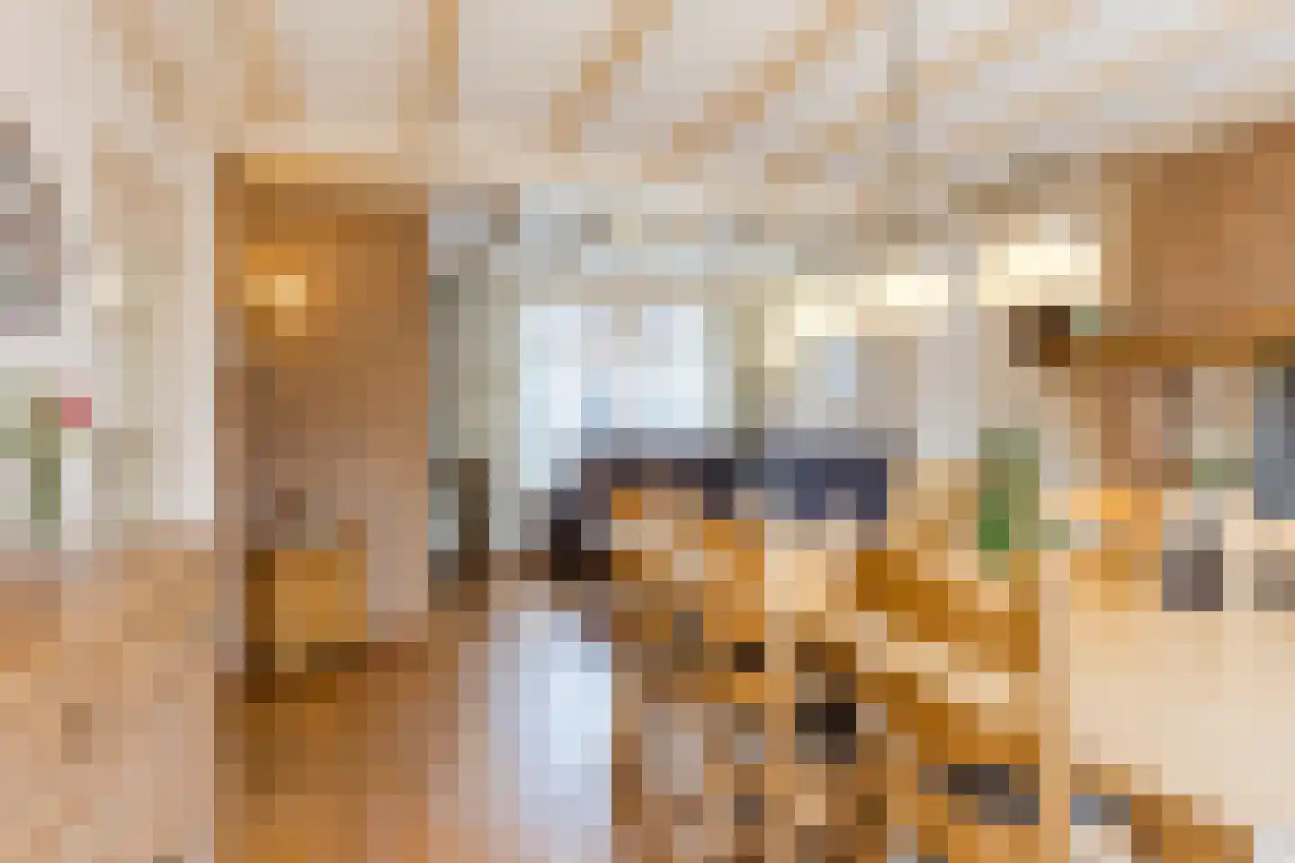 Meester Schrauwenstraat 7 Gilze thumbnail 10