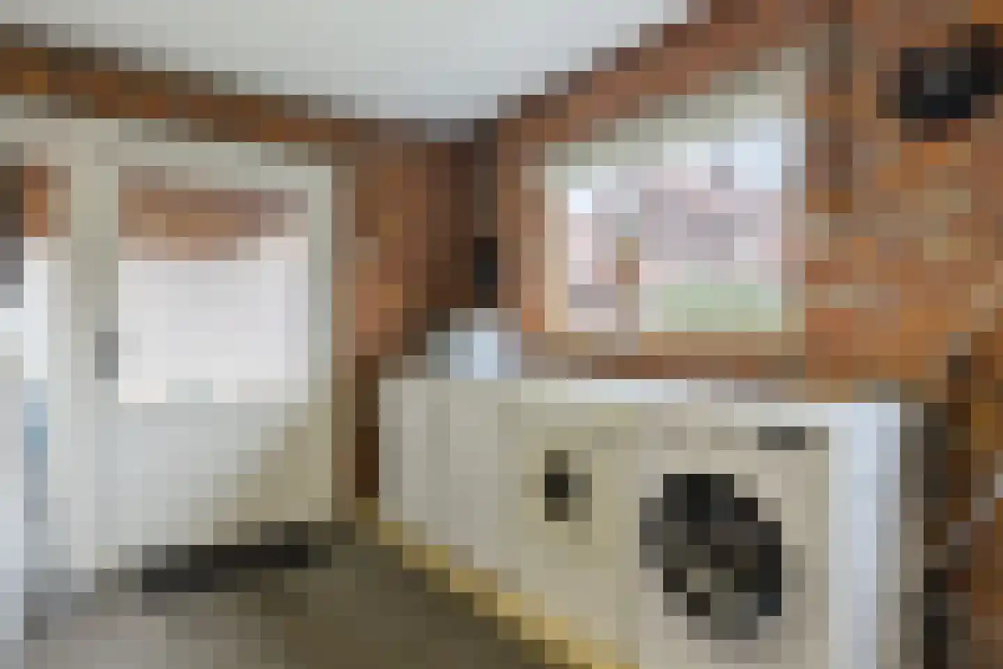 Meester Schrauwenstraat 7 Gilze thumbnail 20