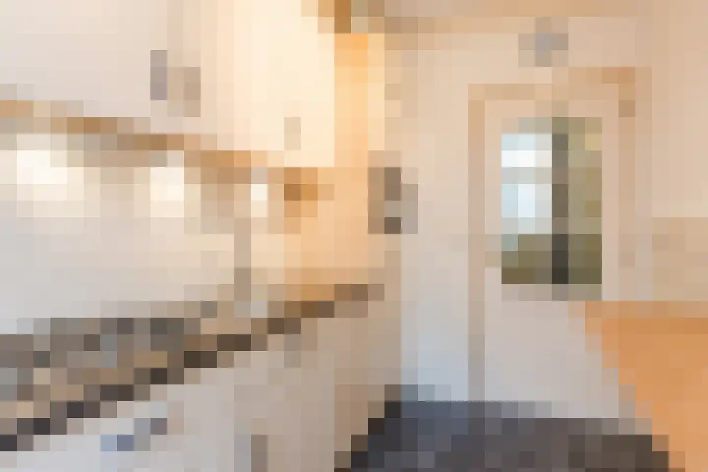 Meester Schrauwenstraat 7 Gilze foto 3