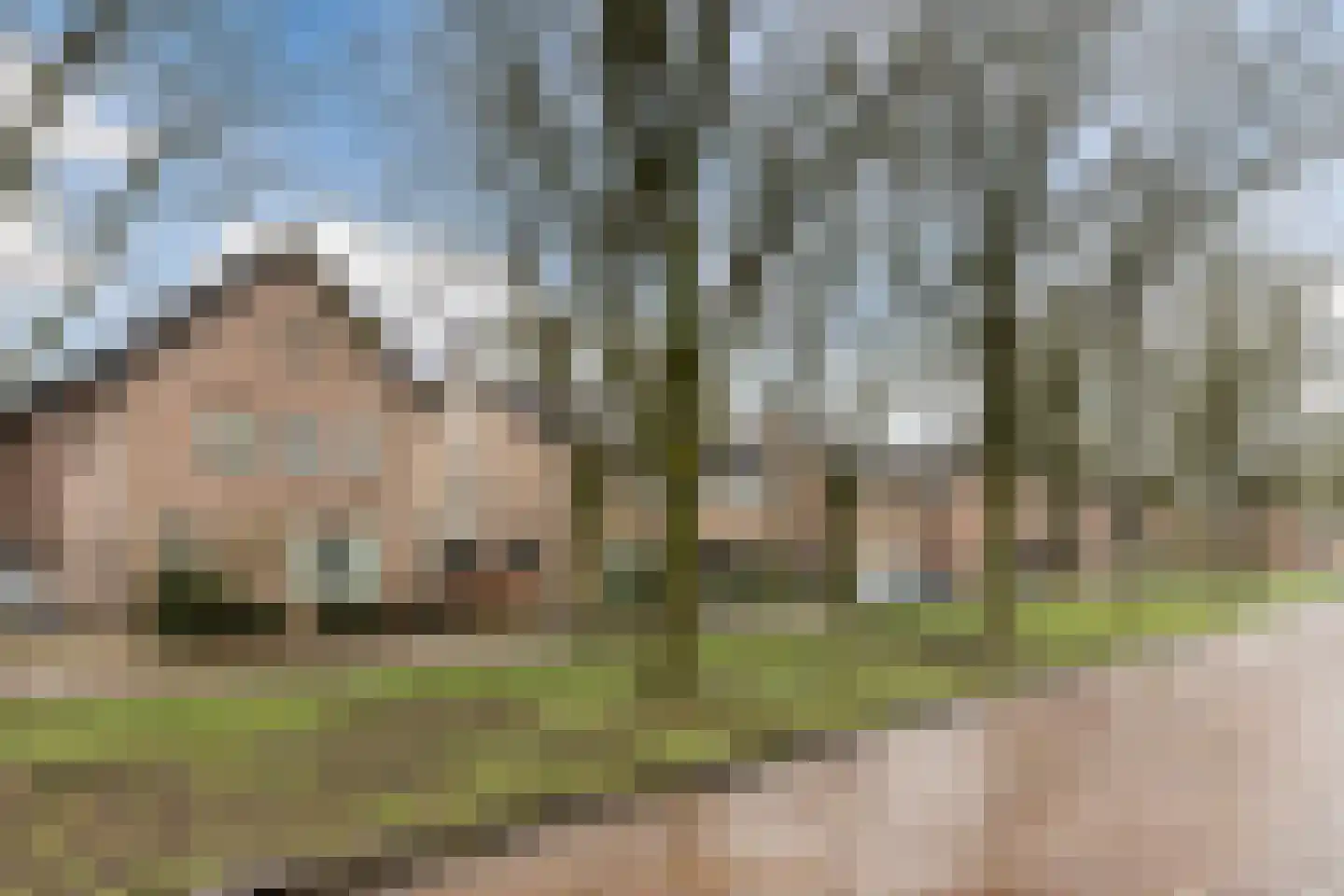 Meester Schrauwenstraat 7 Gilze thumbnail 35
