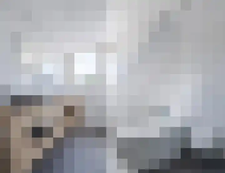 Meester Schrauwenstraat 9 Gilze thumbnail 37