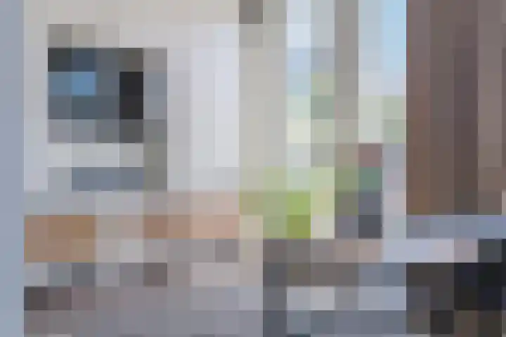 Meester Schrauwenstraat 9 Gilze thumbnail 8