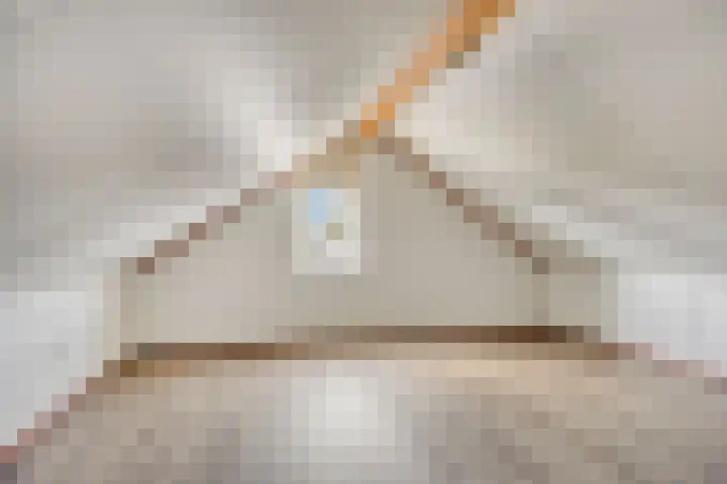 Meester Sinelstraat 2 Oijen thumbnail 15