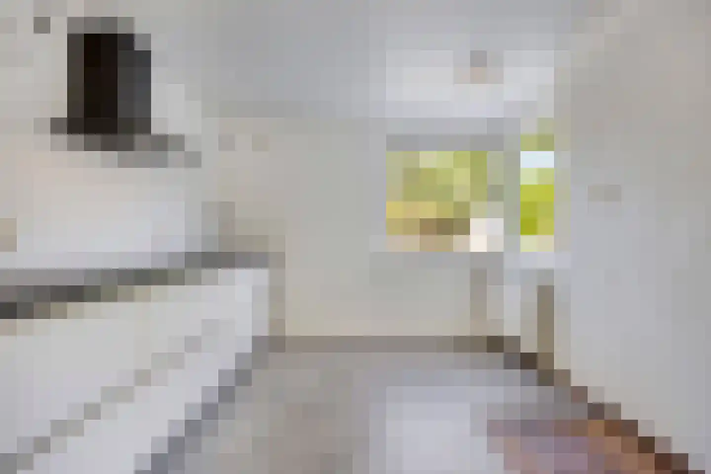 Meester Sinelstraat 2 Oijen thumbnail 30