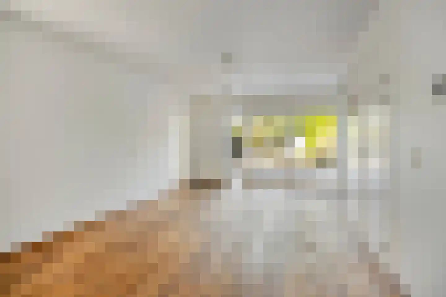 Meester Sinelstraat 2 Oijen thumbnail 37