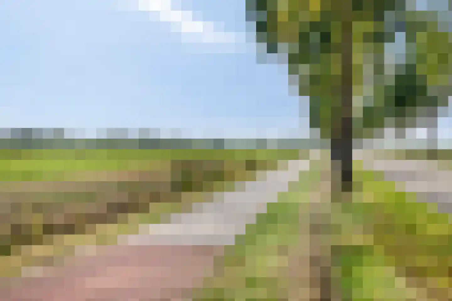 Meester Sinelstraat 2 Oijen thumbnail 5
