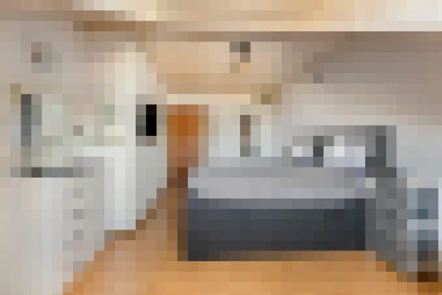 Meester Speestraat 3 Grevenbicht thumbnail 16
