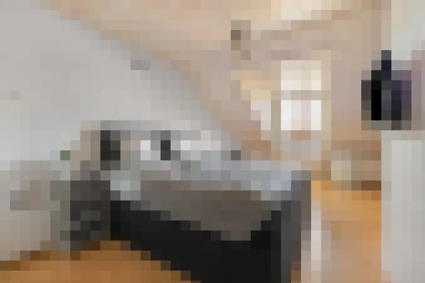 Meester Speestraat 3 Grevenbicht thumbnail 17