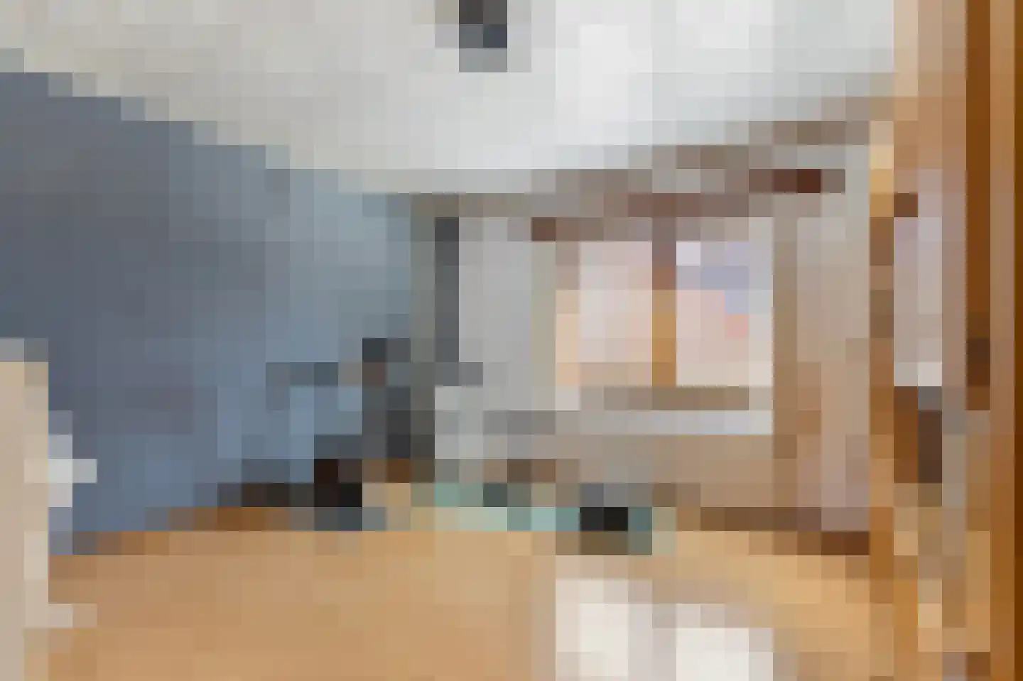 Meester Speestraat 3 Grevenbicht thumbnail 20