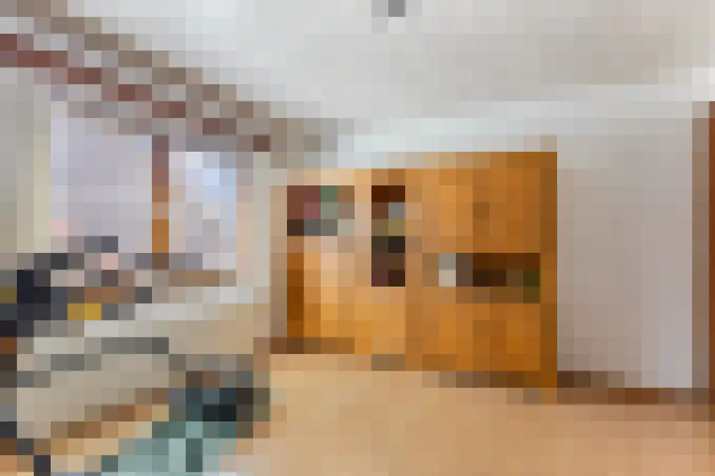 Meester Speestraat 3 Grevenbicht thumbnail 21
